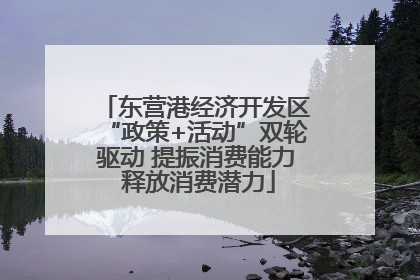 东营港经济开发区“政策+活动”双轮驱动 提振消费能力 释放消费潜力