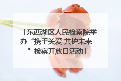 东西湖区人民检察院举办“携手关爱 共护未来”检察开放日活动