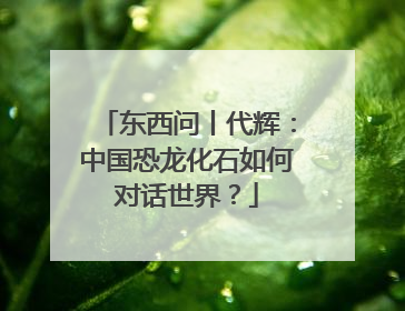 东西问丨代辉：中国恐龙化石如何对话世界？