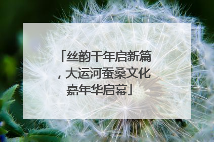 丝韵千年启新篇，大运河蚕桑文化嘉年华启幕