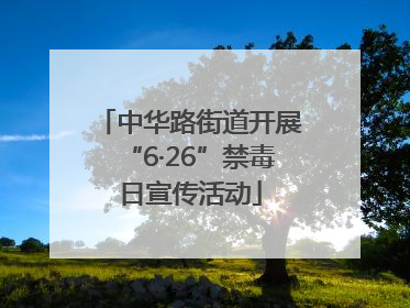 中华路街道开展“6·26”禁毒日宣传活动