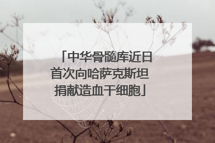 中华骨髓库近日首次向哈萨克斯坦捐献造血干细胞