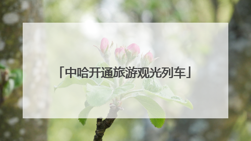 中哈开通旅游观光列车