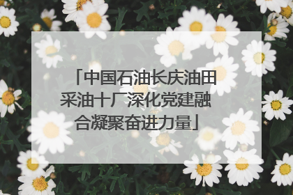 中国石油长庆油田采油十厂深化党建融合凝聚奋进力量