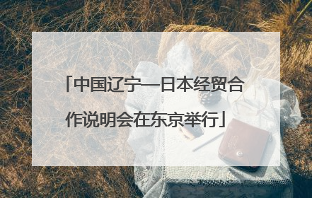中国辽宁—日本经贸合作说明会在东京举行