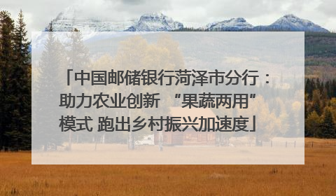 中国邮储银行菏泽市分行：助力农业创新 “果蔬两用”模式 跑出乡村振兴加速度