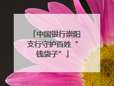 中国银行崇阳支行守护百姓“钱袋子”
