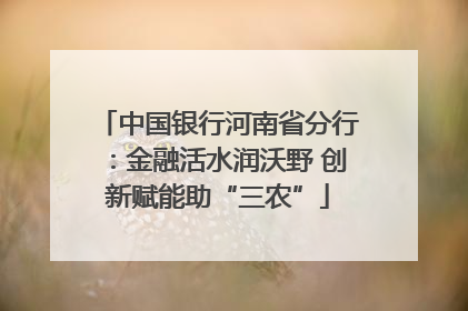 中国银行河南省分行：金融活水润沃野 创新赋能助“三农”