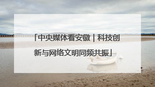 中央媒体看安徽｜科技创新与网络文明同频共振