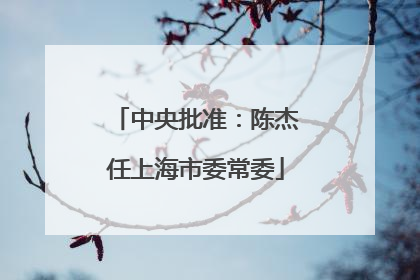 中央批准：陈杰任上海市委常委