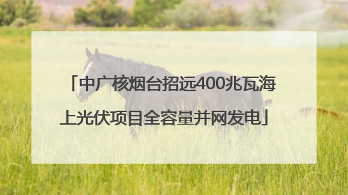 中广核烟台招远400兆瓦海上光伏项目全容量并网发电
