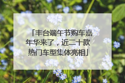 丰台端午节购车嘉年华来了，近二十款热门车型集体亮相