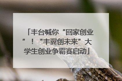 丰台喊你“回家创业”！“丰翼创未来”大学生创业争霸赛启动
