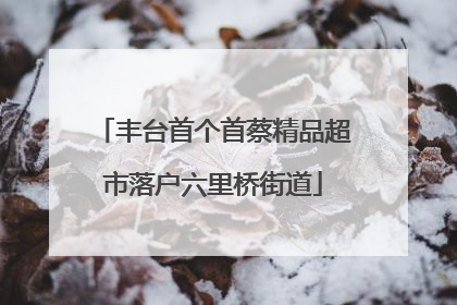 丰台首个首蔡精品超市落户六里桥街道