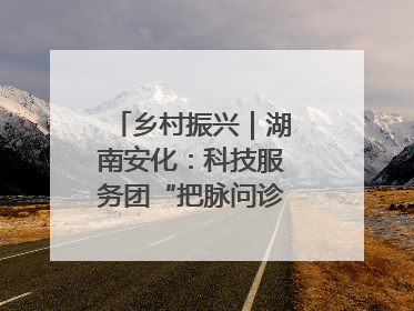 乡村振兴｜湖南安化：科技服务团“把脉问诊”水果产业