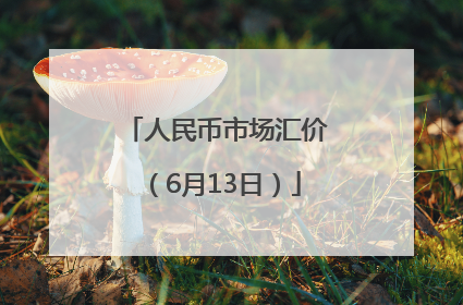 人民币市场汇价（6月13日）