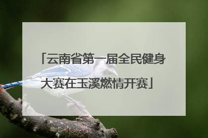 云南省第一届全民健身大赛在玉溪燃情开赛