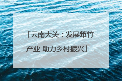 云南大关：发展筇竹产业 助力乡村振兴