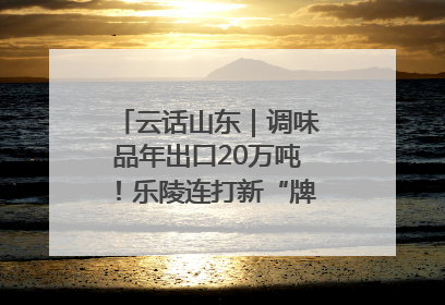 云话山东｜调味品年出口20万吨！乐陵连打新“牌”助力企业出海