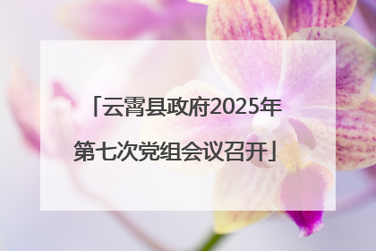 云霄县政府2025年第七次党组会议召开