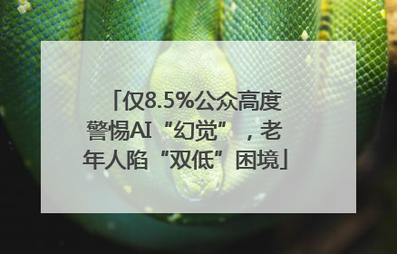仅8.5%公众高度警惕AI“幻觉”，老年人陷“双低”困境