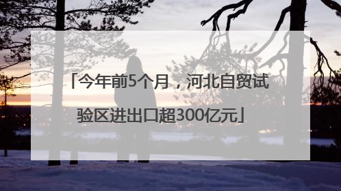 今年前5个月，河北自贸试验区进出口超300亿元