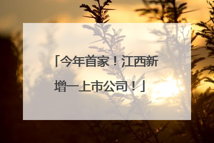 今年首家！江西新增一上市公司！