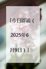今日辟谣（2025年6月9日）