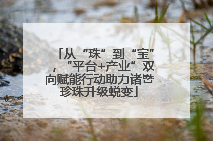 从“珠”到“宝”，“平台+产业”双向赋能行动助力诸暨珍珠升级蜕变