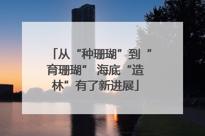 从“种珊瑚”到“育珊瑚” 海底“造林”有了新进展
