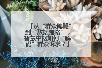 从“群众跑腿”到“数据跑路”，智慧中枢如何“解码”群众诉求？