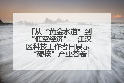 从“黄金水道”到“低空经济”，江汉区科技工作者日展示“硬核”产业答卷