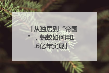 从独居到“帝国”，蚂蚁如何用1.6亿年实现