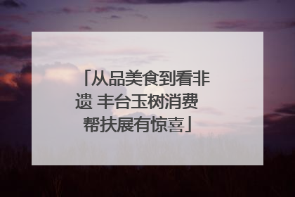 从品美食到看非遗 丰台玉树消费帮扶展有惊喜