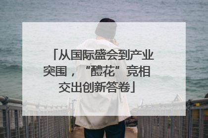 从国际盛会到产业突围，“醴花”竞相交出创新答卷