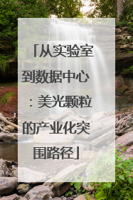 从实验室到数据中心：美光颗粒的产业化突围路径