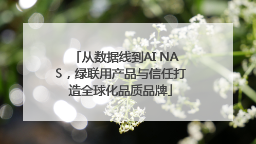 从数据线到AI NAS，绿联用产品与信任打造全球化品质品牌