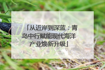 从近岸到深蓝：青岛中行赋能现代海洋产业焕新升级