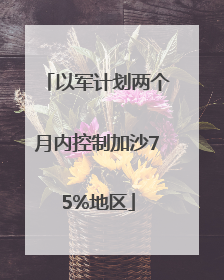 以军计划两个月内控制加沙75%地区