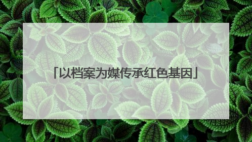 以档案为媒传承红色基因