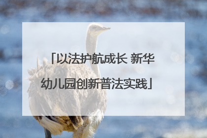 以法护航成长 新华幼儿园创新普法实践