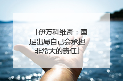 伊万科维奇：国足出局自己会承担非常大的责任
