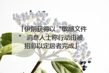 伊朗获得以“敏感文件” 消息人士称行动由被招募以定居者完成