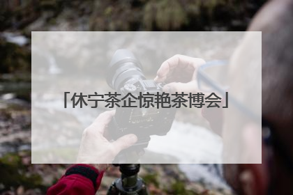 休宁茶企惊艳茶博会