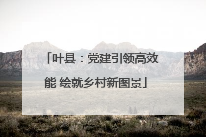 叶县：党建引领高效能 绘就乡村新图景