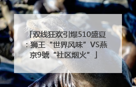 双线狂欢引爆510盛夏：狮王“世界风味”VS燕京9號“社区烟火”