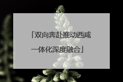 双向奔赴推动西咸一体化深度融合