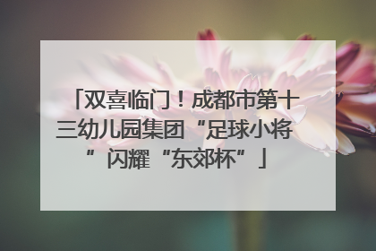 双喜临门！成都市第十三幼儿园集团“足球小将”闪耀“东郊杯”