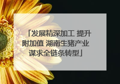 发展精深加工 提升附加值 湖南生猪产业谋求全链条转型