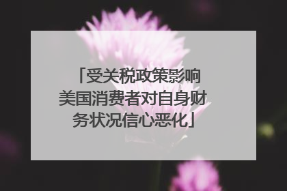 受关税政策影响 美国消费者对自身财务状况信心恶化